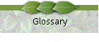 Glossary